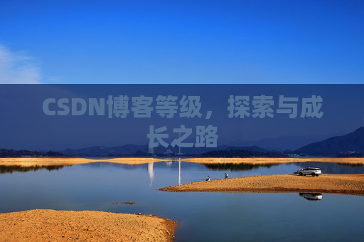 CSDN博客等级，探索与成长之路